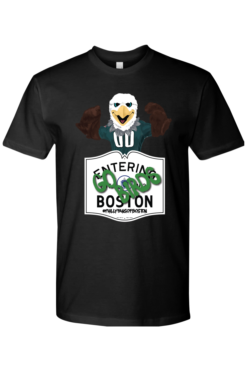 Swoops in Boston Graphic T-Shirt - Mens