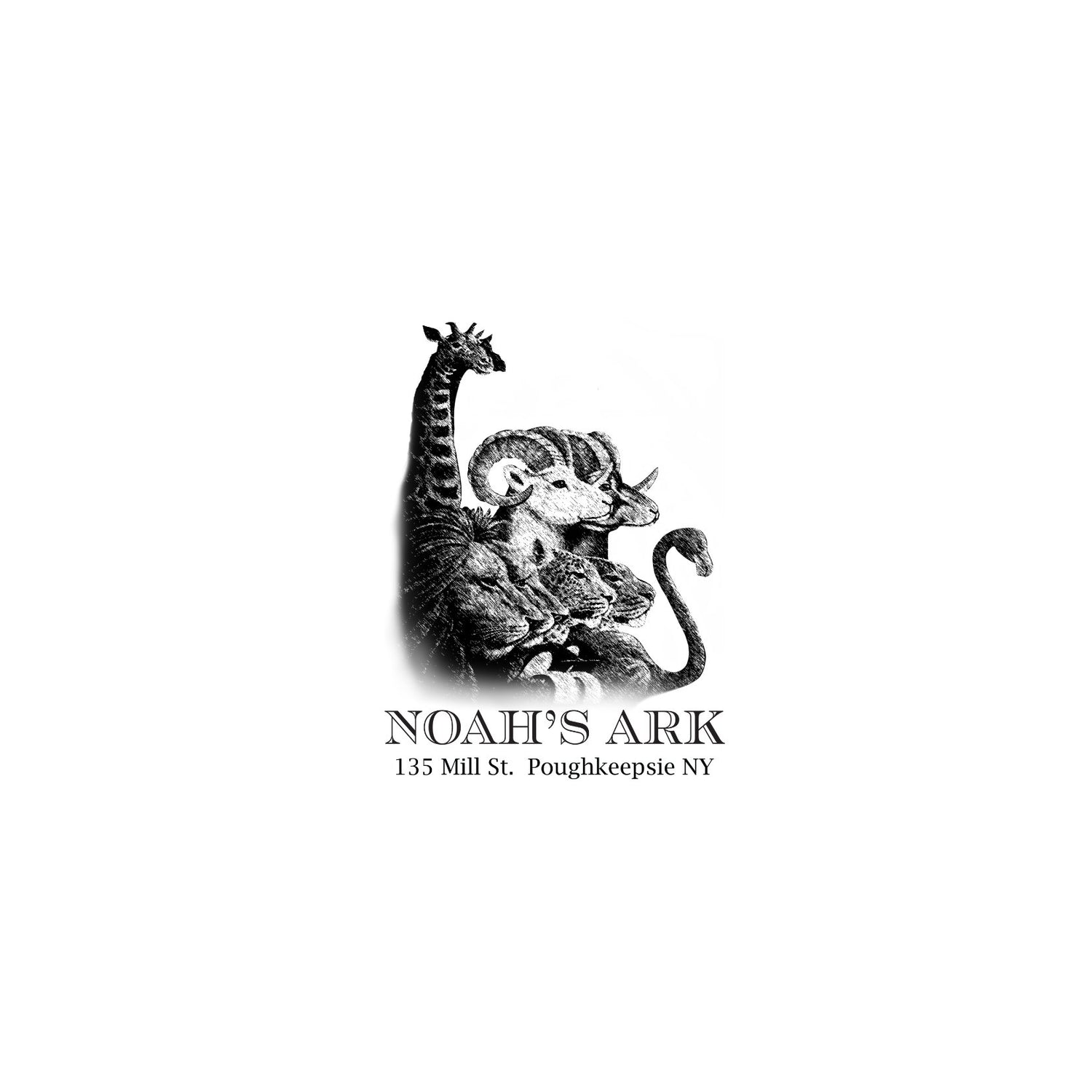 Noah's Ark Poughkeepsie