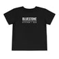 Bluestone Toddler Short Sleeve Tee