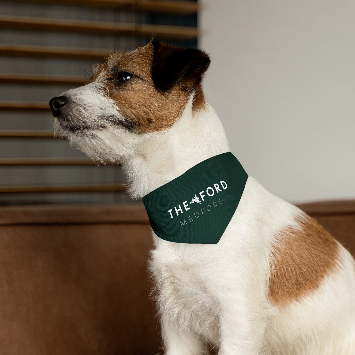 The Ford Pet Bandana Collar