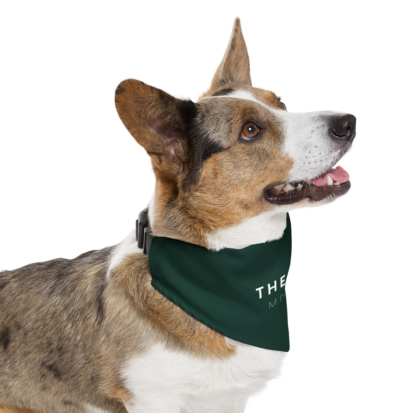 The Ford Pet Bandana Collar