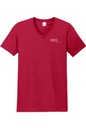 Jules on Devonshire Unisex V-Neck T-Shirt