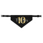 Tens Show Club Pet Bandana Collar